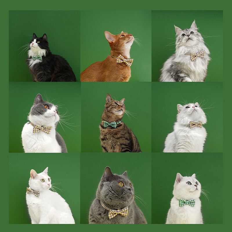 kikipals